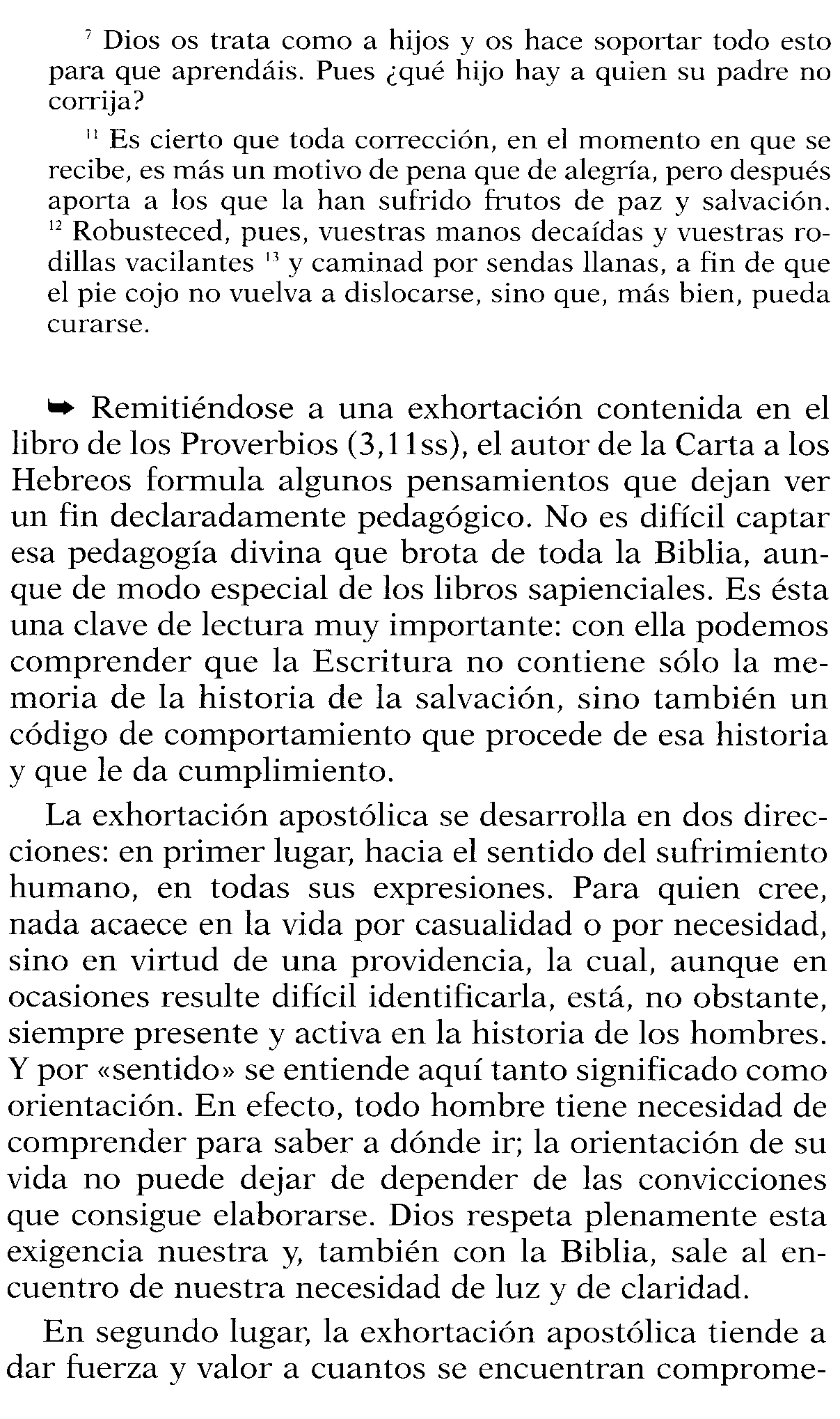Lectio Divina del Domingo XXI Ordinario, C